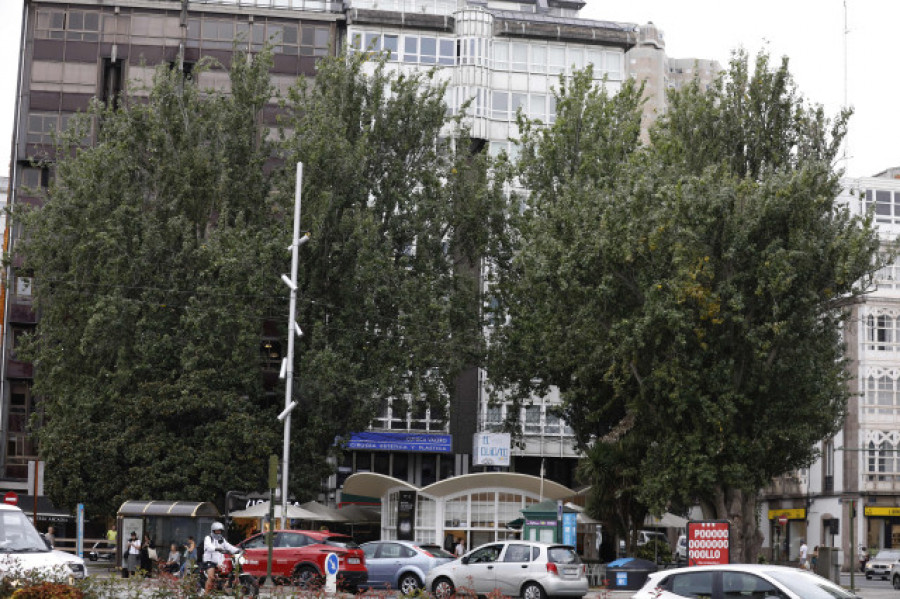 El ciclo de la vida en la plaza de Ourense