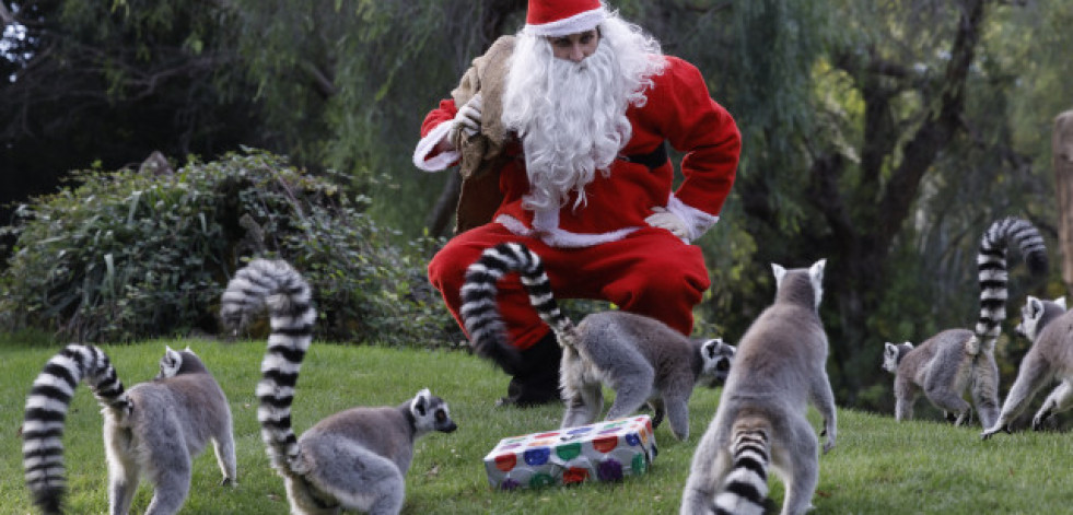 Papá Noel reparte ya millones de regalos por el mundo