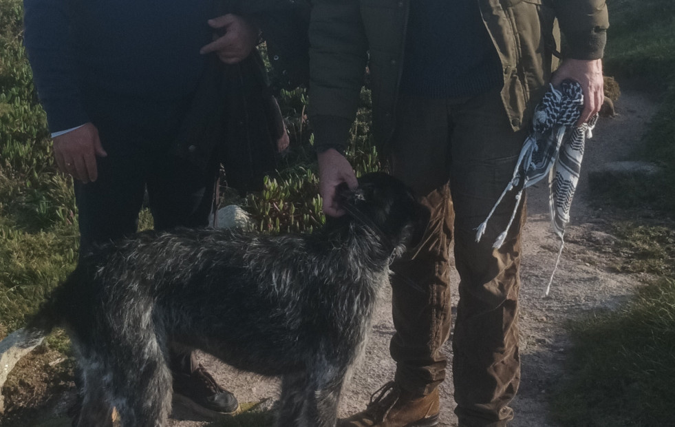 Final feliz para Bico, el perro del edil de Podemos rescatado por el alcalde del PP