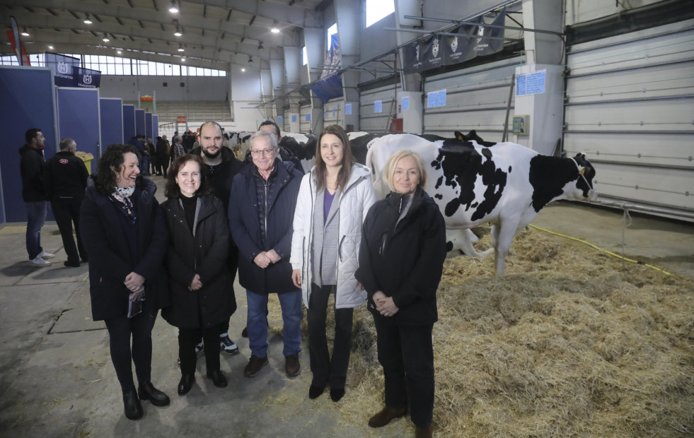 En la Poxa de Gando Frixón de Santa Comba las dos mejores vacas se vendieron por 3.800 euros cada una