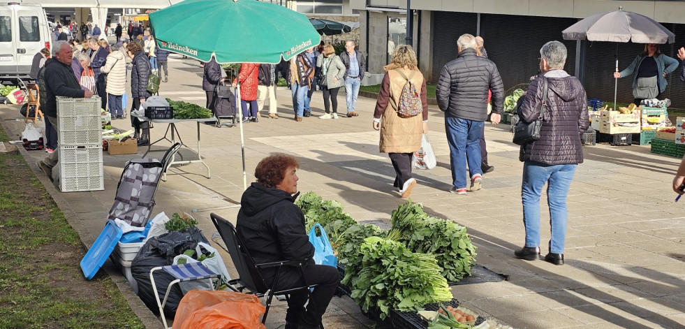 Los grelos siguen dominando en la feria de Carballo