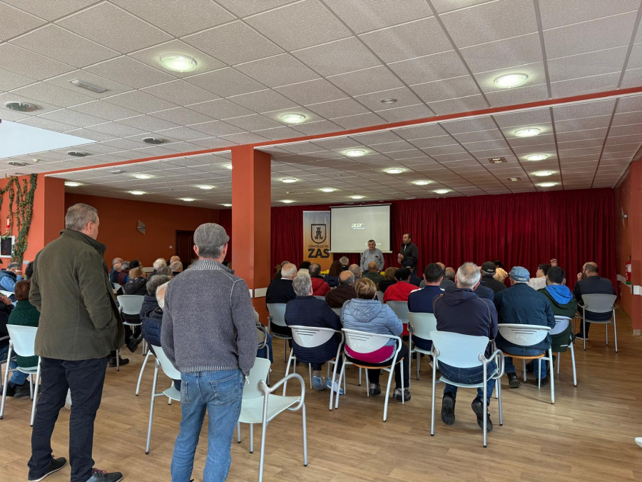 El Concello de Zas inicia una campaña contra la velutina colocando más de 500 trampas