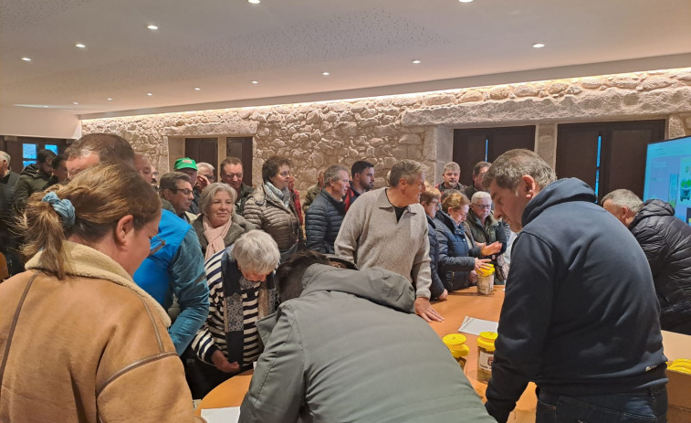 Los concellos de la Costa da Morte inician la campaña de trampeo contra las velutinas
