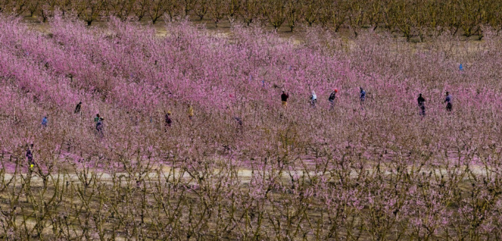 El cambio climático amenaza las reservas de aguas subterráneas en la Península Ibérica
