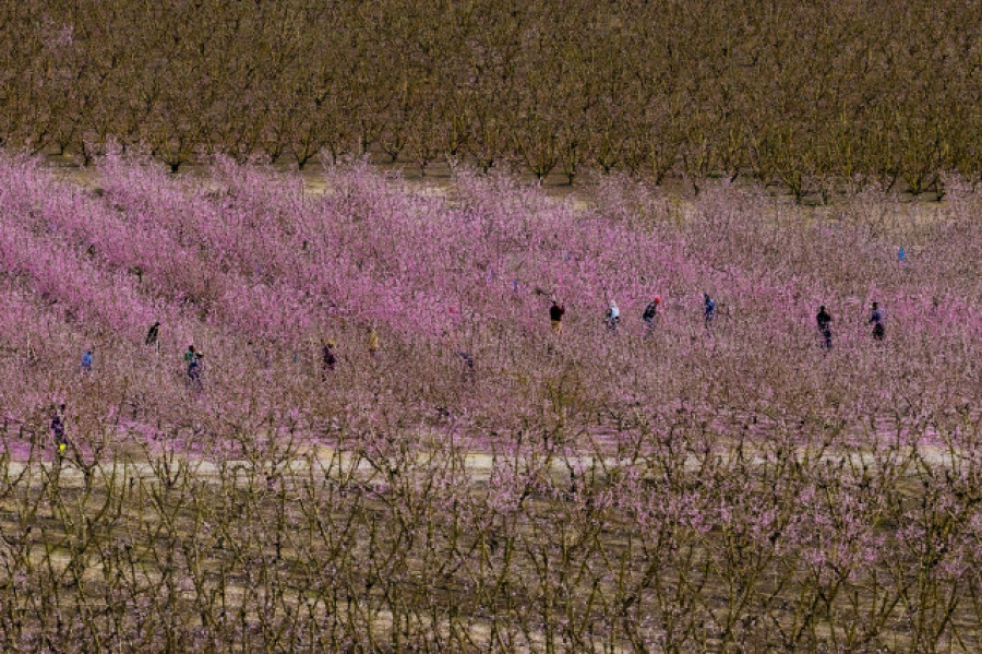 El cambio climático amenaza las reservas de aguas subterráneas en la Península Ibérica