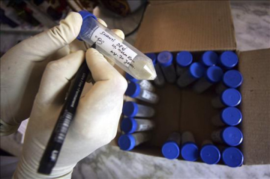La tuberculosis infantil aumenta un 10% en Europa