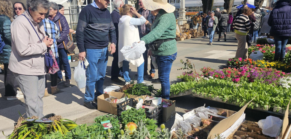 La huerta sigue dominando la feria de Carballo