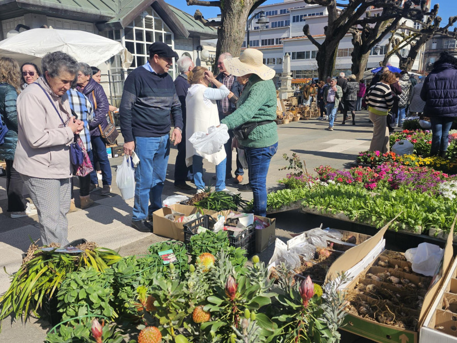 La huerta sigue dominando la feria de Carballo