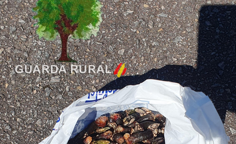 Prosiguen los operativos contra el furtivismo en Corme y su entorno