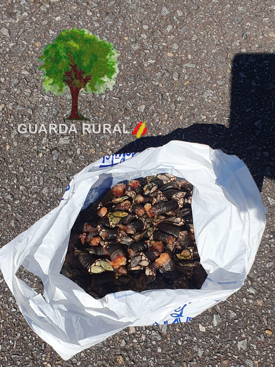Prosiguen los operativos contra el furtivismo en Corme y su entorno