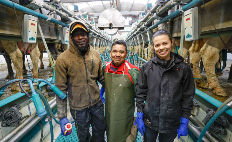 Los ganaderos recurren a inmigrantes por falta de mano de obra local