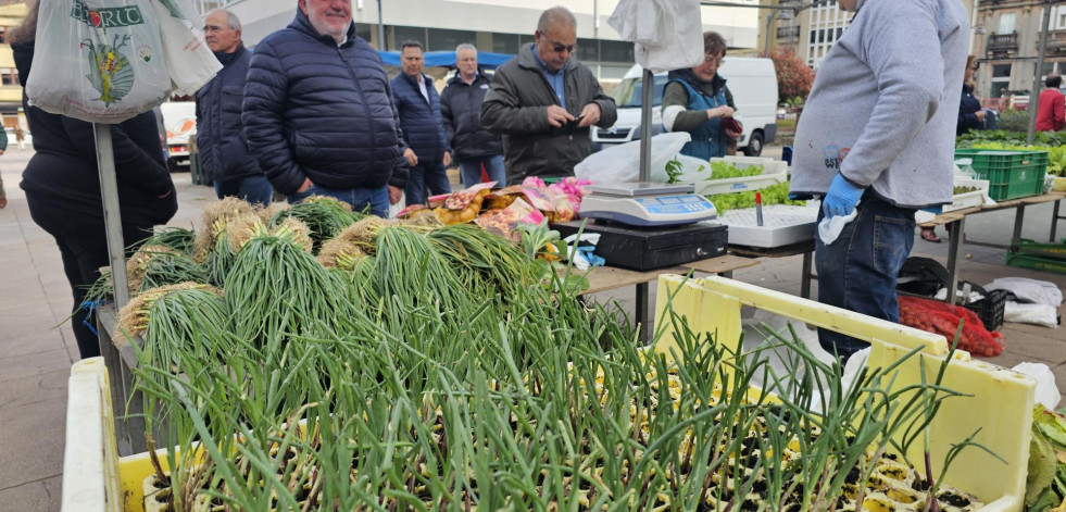 Las plantas para cultivar la huerta llenan la feria de Carballo
