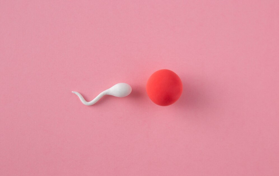 Por fin, juntos en esto: la píldora masculina sin hormonas redefine la planificación familiar
