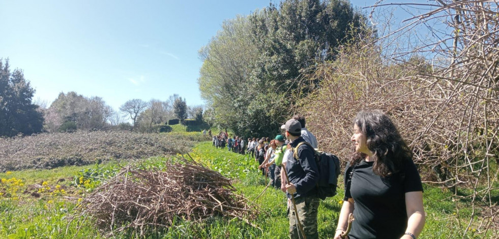 La Diputación apoya la actividad de Senda Nova y Mar de Fábula con 21.000 euros
