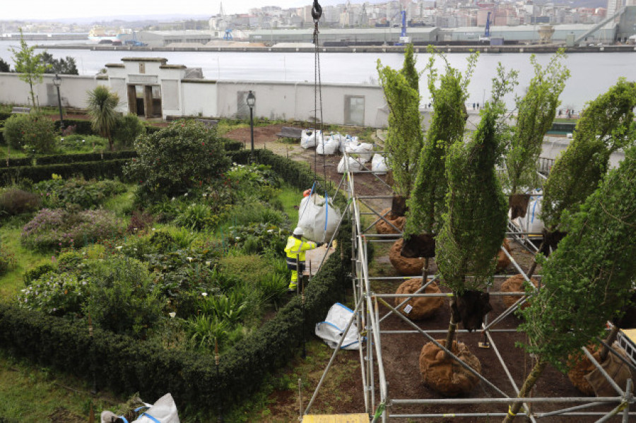 Hojas neerlandesas para A Coruña
