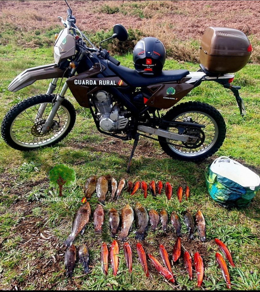 Incautan 8 kilos de capturas a dos pescadores sin licencia en la zona cormelana de Santa Mariña
