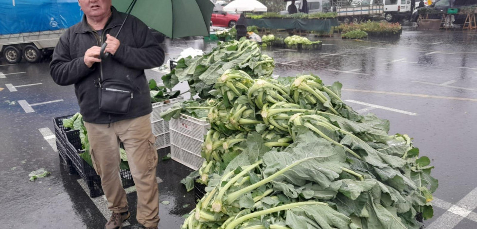 Los guisantes de Barrañán se pagaban en la feria de Paiosaco a 4 euros el kilo en vaina y a 8 en grano