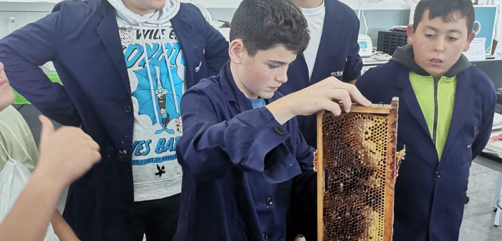 Arranca en la EFA Fonteboa de Coristanco un nuevo programa de formación apícola