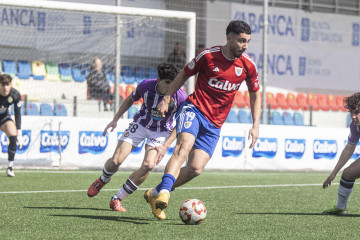Pachon bergan 19051730