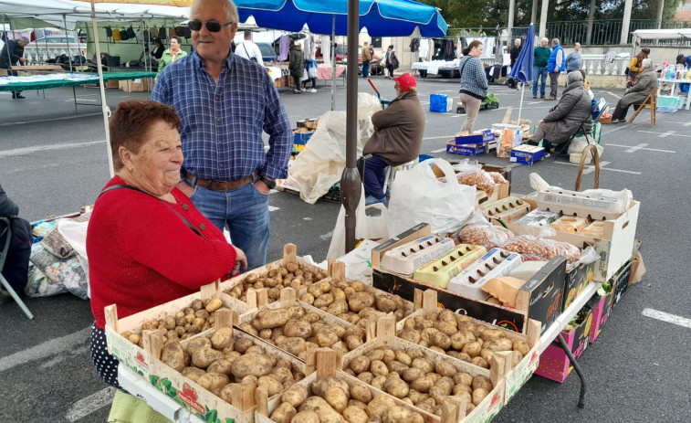 La patata nueva de la comarca comienza a dar relevo a la de la anterior cosecha en las ferias de la comarca
