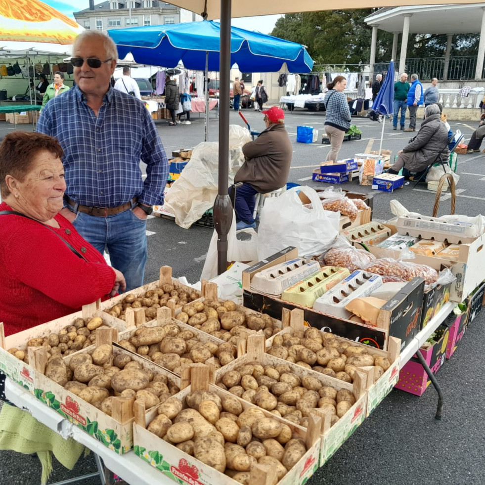 La patata nueva de la comarca comienza a dar relevo a la de la anterior cosecha en las ferias de la comarca