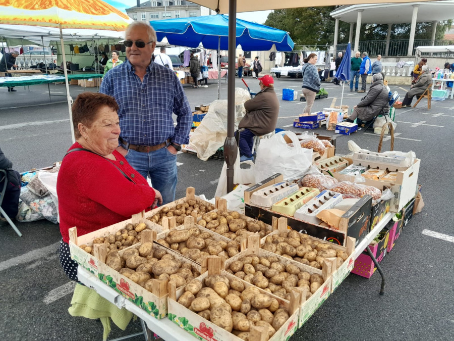 La patata nueva de la comarca comienza a dar relevo a la de la anterior cosecha en las ferias de la comarca
