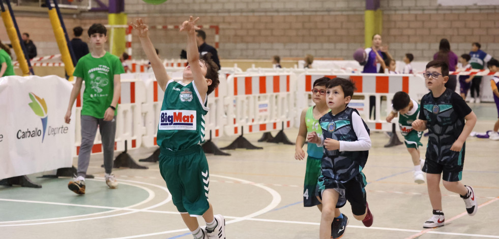 Máis de 450 participantes no Pequebasket de Carballo
