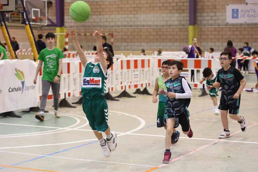 Máis de 450 participantes no Pequebasket de Carballo