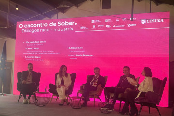 Un momento del debate en O encontro de Sober  Aec