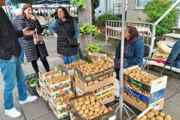 Patatas feria carballo