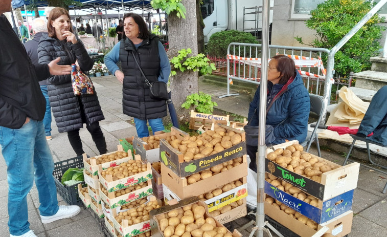 La patata nueva del litoral fue la más demandada en Carballo, alcanzando los tres euros el kilo