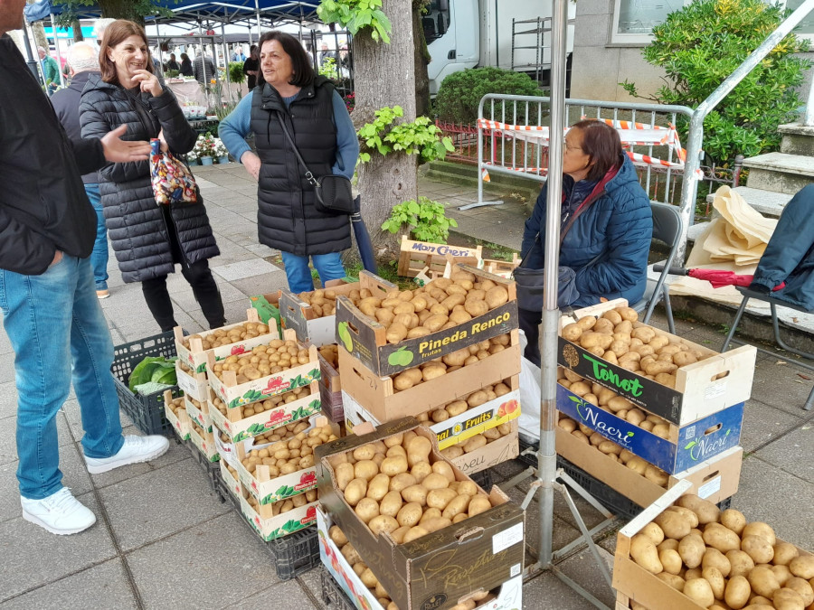 La patata nueva del litoral fue la más demandada en Carballo, alcanzando los tres euros el kilo
