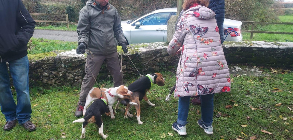 Zas prepara su II Xornada Canina para el 25 de mayo