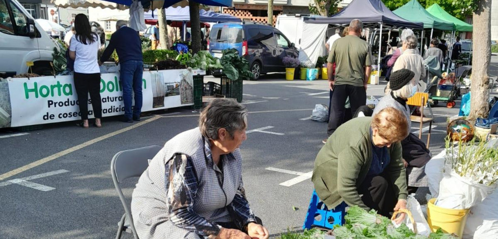 La nueva patata gallega y los pimientos de Herbón, protagonistas en la feria
