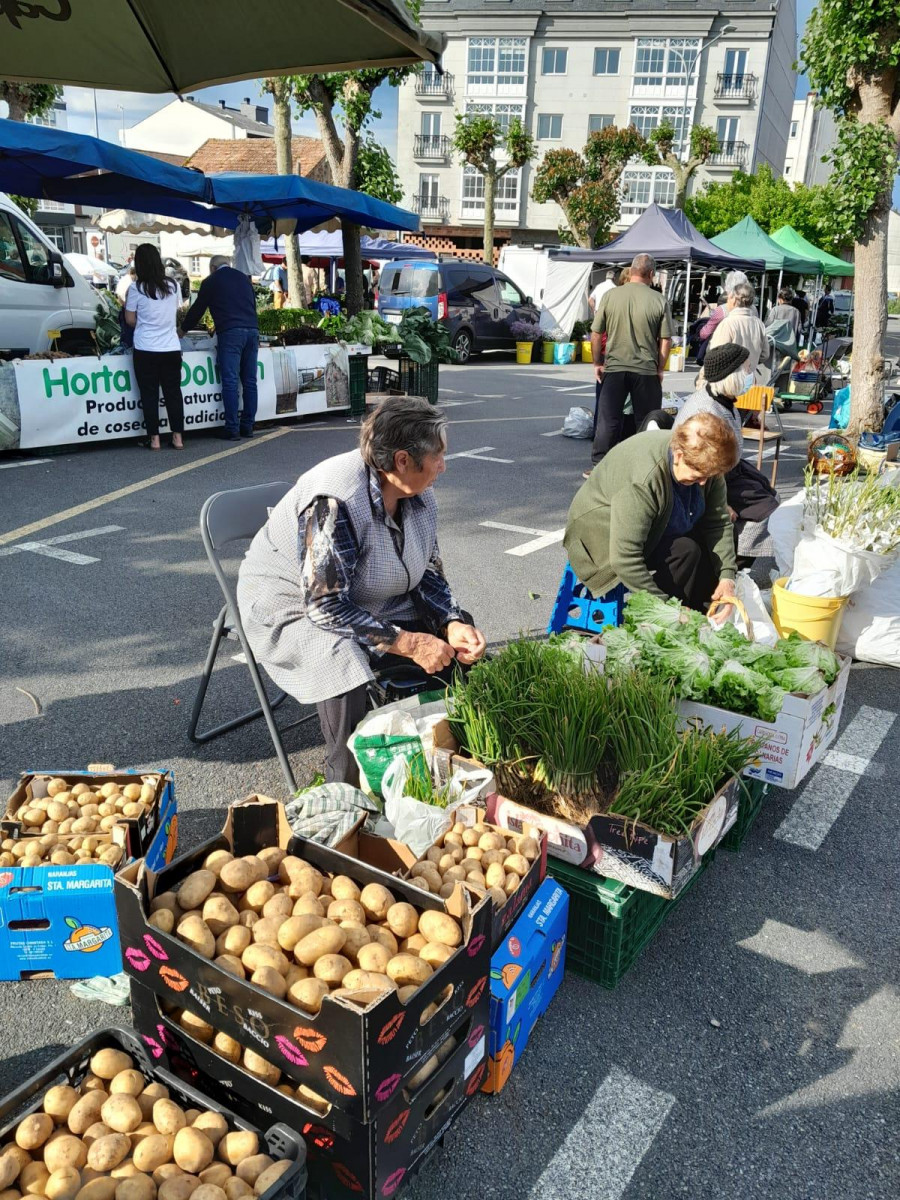 La nueva patata gallega y los pimientos de Herbón, protagonistas en la feria