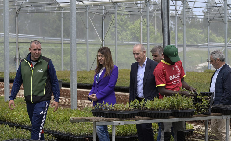 Medio Rural pone a Viveiro Growin como ejemplo de innovación en el sector forestal