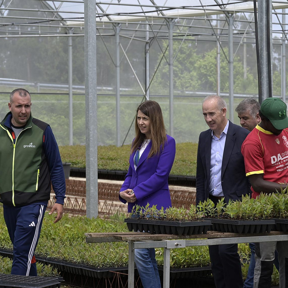 Medio Rural pone a Viveiro Growin como ejemplo de innovación en el sector forestal