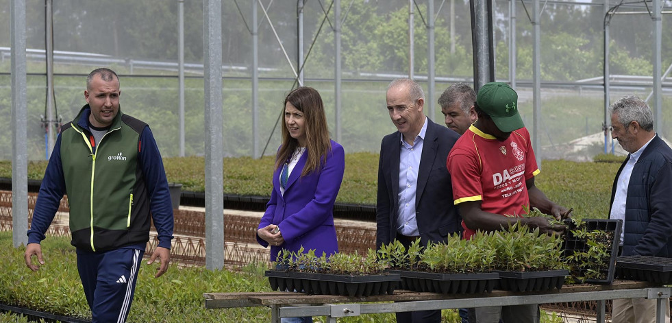 Medio Rural pone a Viveiro Growin como ejemplo de innovación en el sector forestal