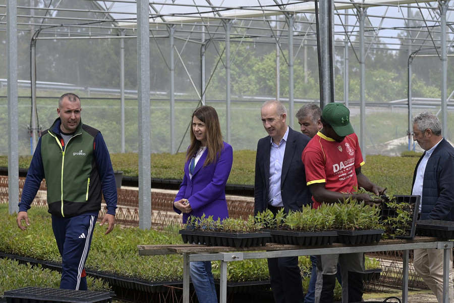 Medio Rural pone a Viveiro Growin como ejemplo de innovación en el sector forestal