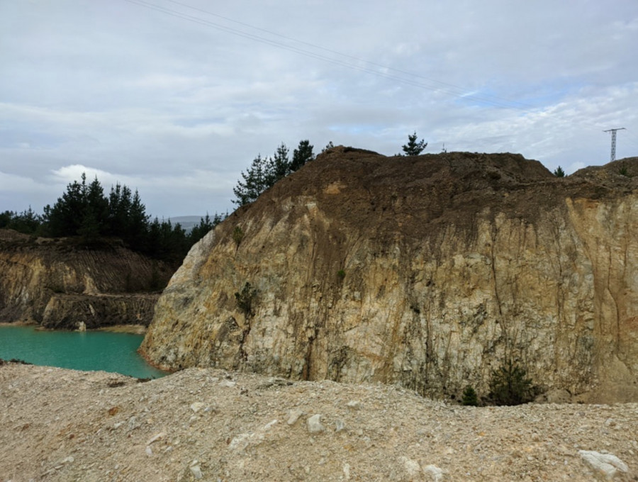 Miles de carballos, sauces y arbustos cubrirán de verde el paisaje lunar del Monte Neme
