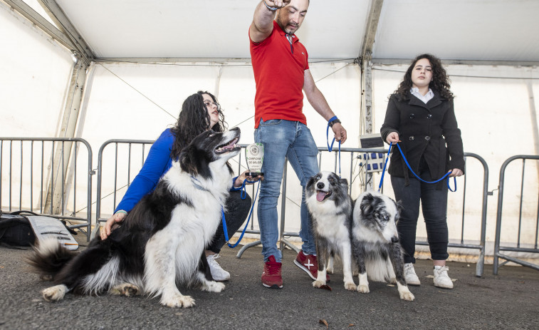 Baio vivió una vistosa y animada segunda jornada canina