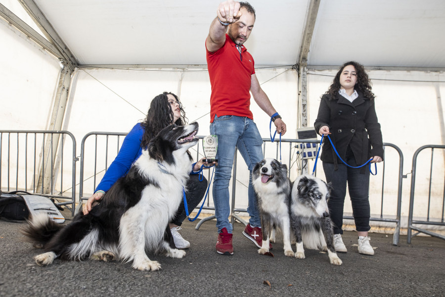 Baio vivió una vistosa y animada segunda jornada canina