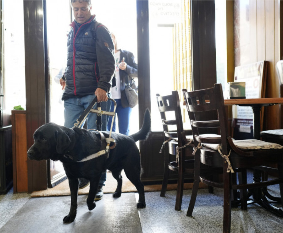Las personas con perros de asistencia podrán acceder con ellos a espacios de uso público