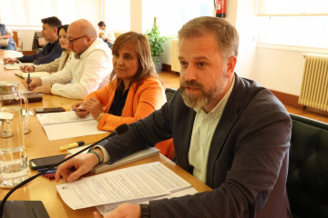 Pleno carballo PP