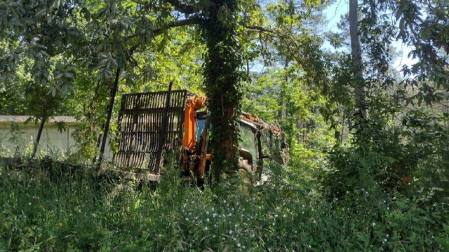 Fallece un operario en Outes tras caerle encima el árbol que talaba