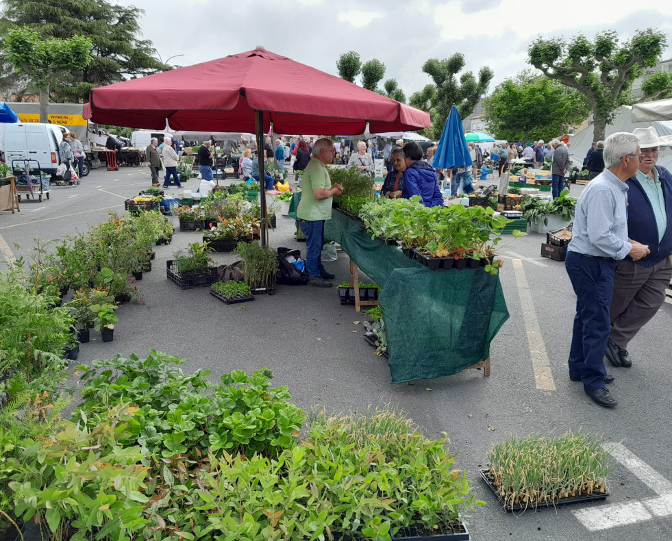 Feria paiosaco junio