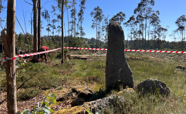 A Laracha limpia y acondiciona la parcela que alberga el menhir de Erboedo