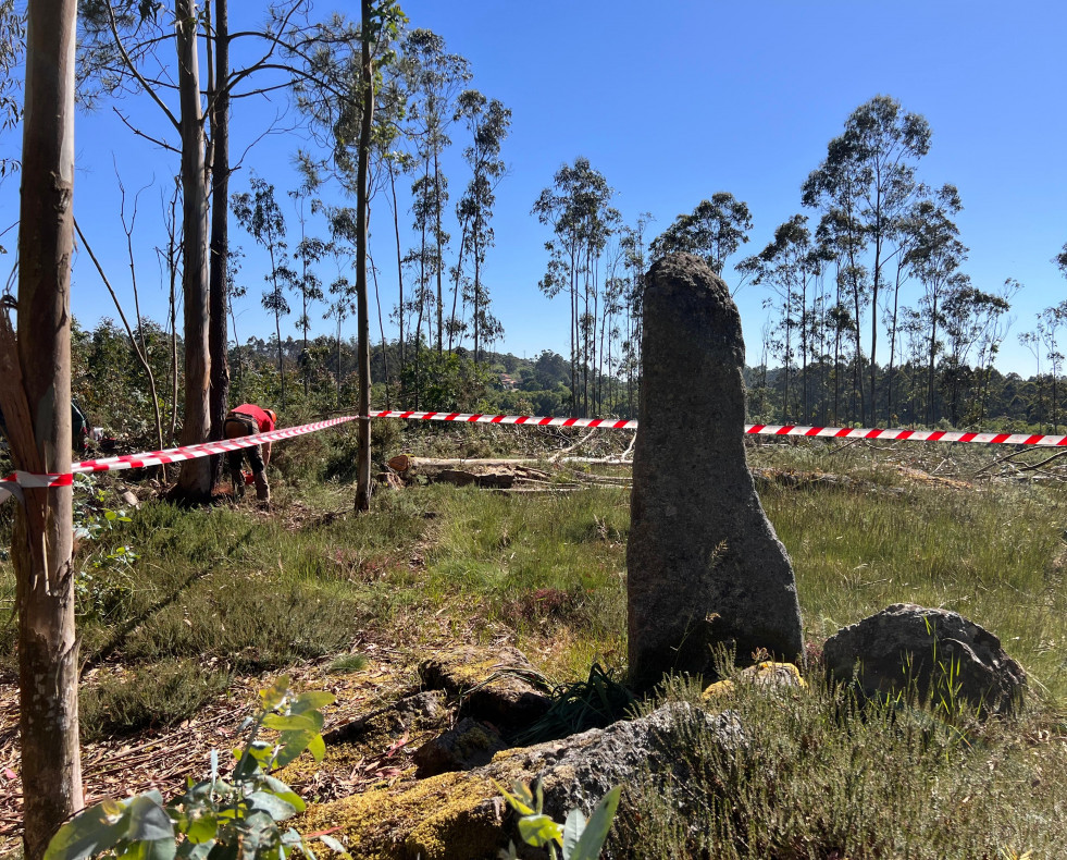 2025.06.02.  Limpeza parcela menhir Erboedo