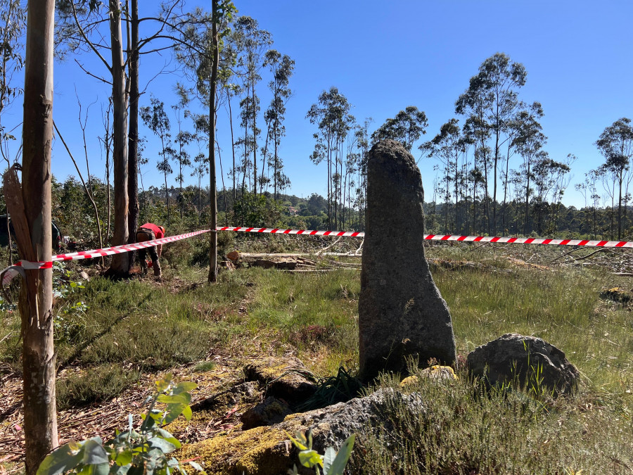 A Laracha limpia y acondiciona la parcela que alberga el menhir de Erboedo