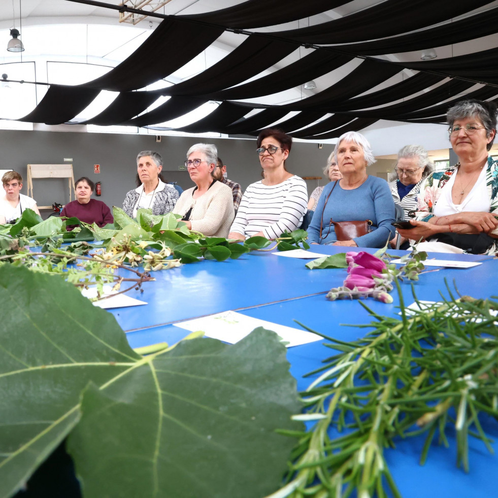 La magia de San Xoán y el Día Mundial del Medio Ambiente unen fuerzas en Carballo